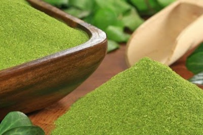 Moringa in Polvere