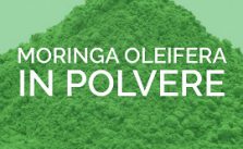  Moringa oleifera in polvere dove si compra e proprietà