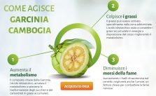  Garcinia Cambogia: cos’è, benefici e effetti collaterali