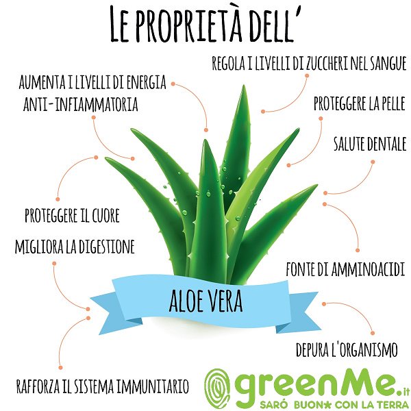 aloe vera benefici pelle viso