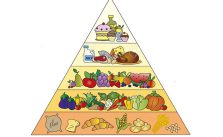  Piramide alimentare: cos’è e come è strutturata