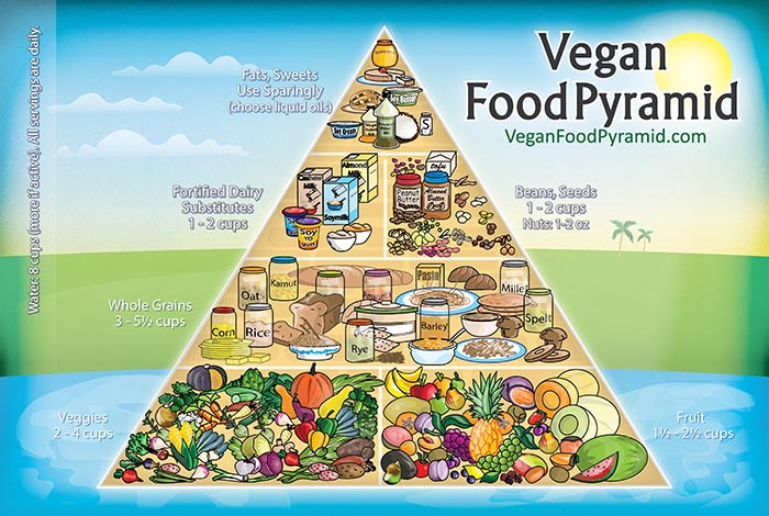 piramide-alimentare-vegana