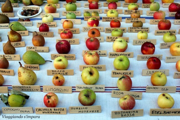 quante calorie ha una mela