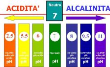  Acqua alcalina: benefici e macchine per farla in casa