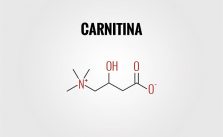  Carnitina: cos’è, a cosa serve e principali benefici