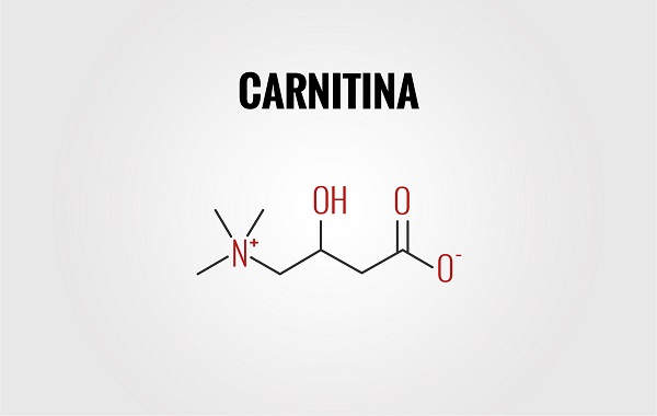 carnitina