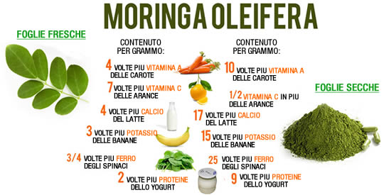 moringa benefici