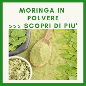 moringa in polvere