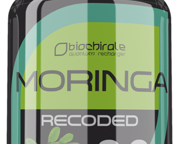  Moringa Recoded