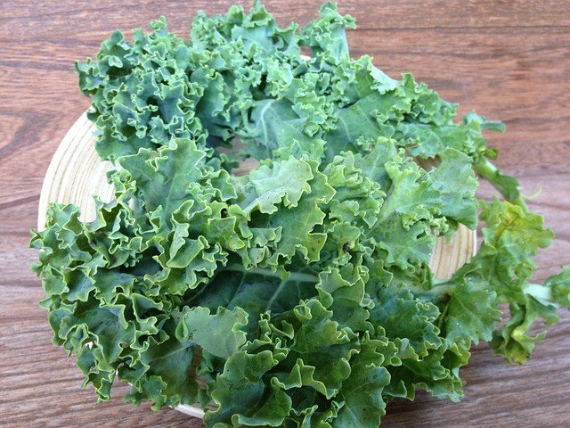 cavolo riccio, kale