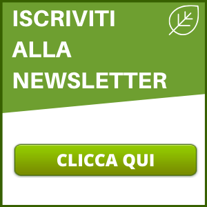 moringa newsletter