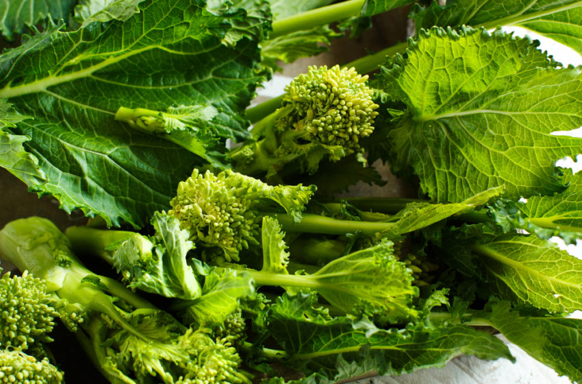  Cime di rapa ricette vegetariane